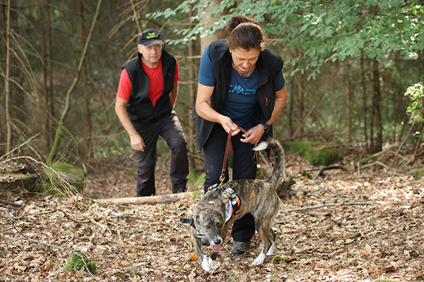 Flächensuche, Trainingseinheit