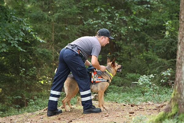 Flächensuche, Trainingseinheit