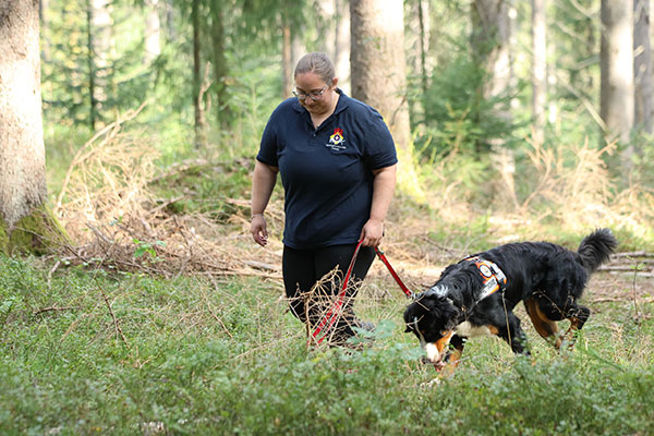 Flächensuche, Trainingseinheit