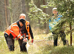 Unterstützung beim Training